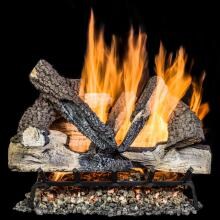 Alpine Flame 18 Inch Rustic Canyon Oak Vented Natural Gas Log Set + H-Burner + Manual Safety Pilot + Wireless On/Off Wall Switch Kit image