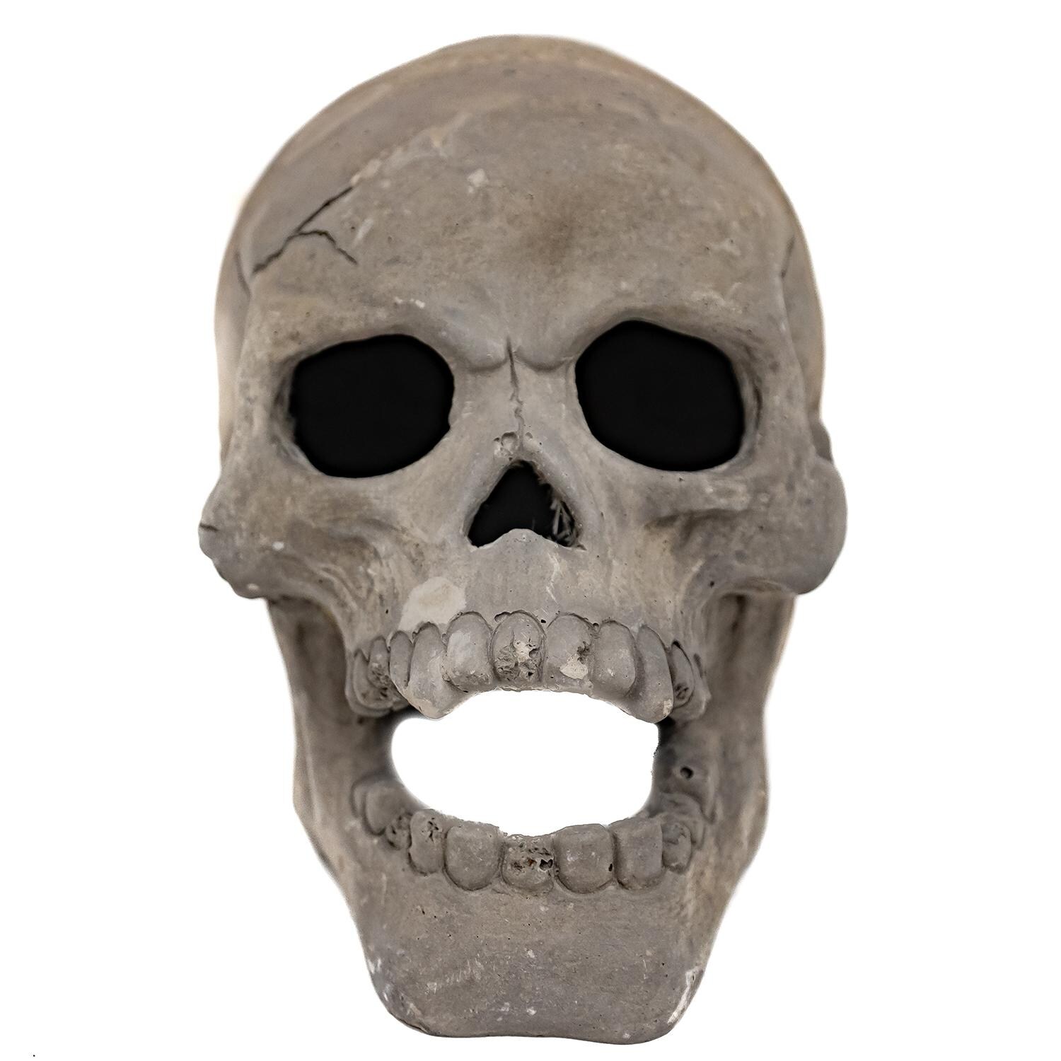 Skull Ornament Front View thumbnail