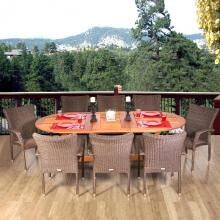 Rennaisance 9 Piece Resin Wicker Patio Dining Set With 70 X 45 Inch Oval Extension Table And Stacking Chairs By Amazonia image