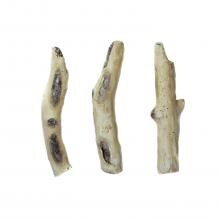 Enhance A Fire Prairie Lake Driftwood Twigs image
