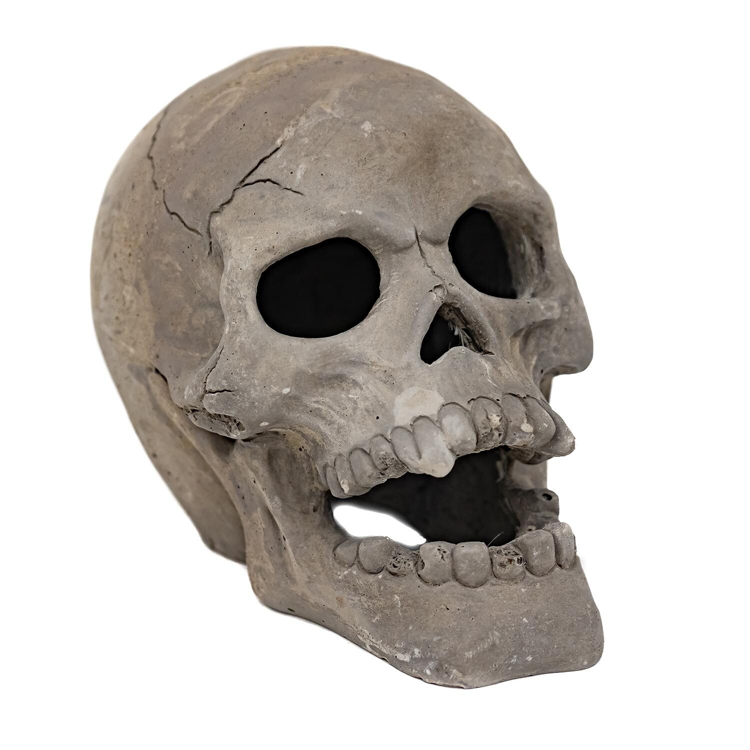 Skull Ornament Left Front View thumbnail