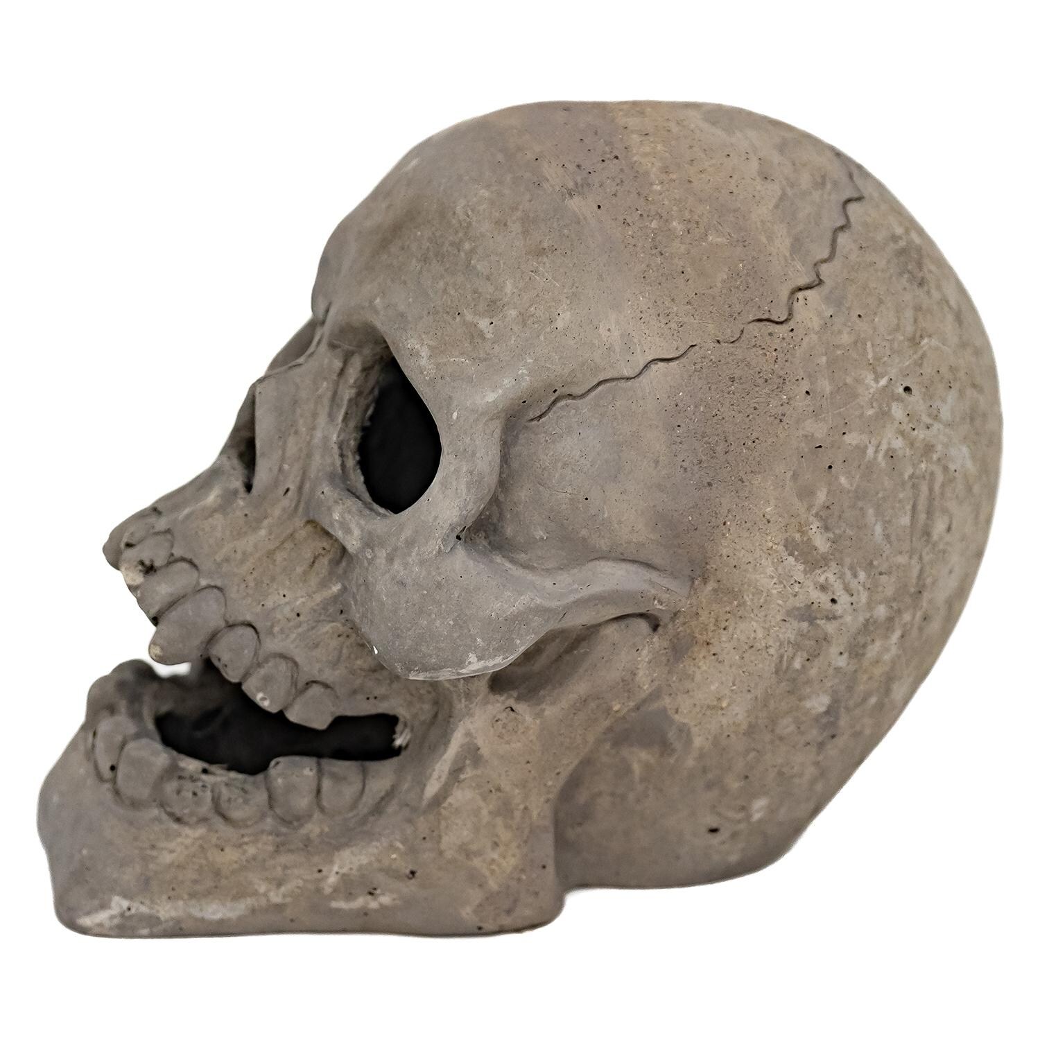 Skull Ornament Right View thumbnail