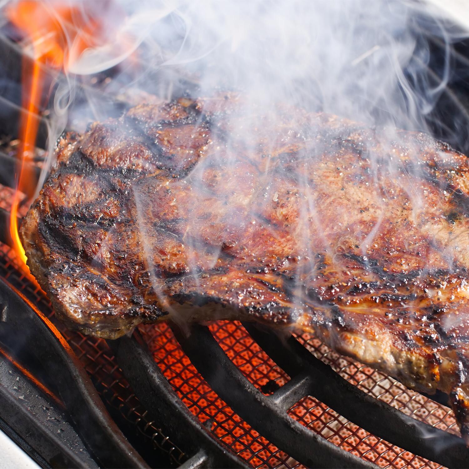 Napoleon LEX485RSIBPSS-1 LEX 485 Propane Gas Grill With Infrared Rear Burner And Infrared Side Burner - Side Burner Wave Grid Sear Marks thumbnail