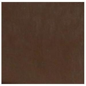 Cushion Color Swatch