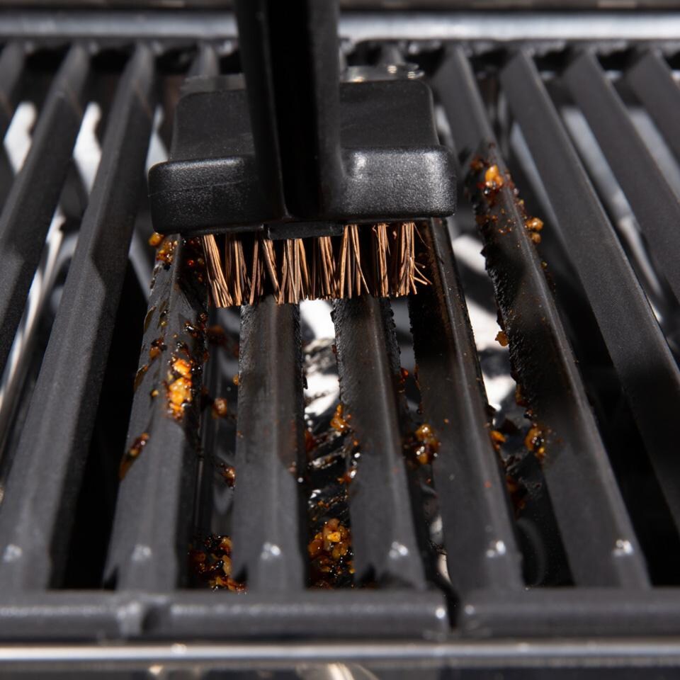 GrillPro Palmyra Grill Brush w/ Replacement Head - 77618 - Up Close - Detail thumbnail