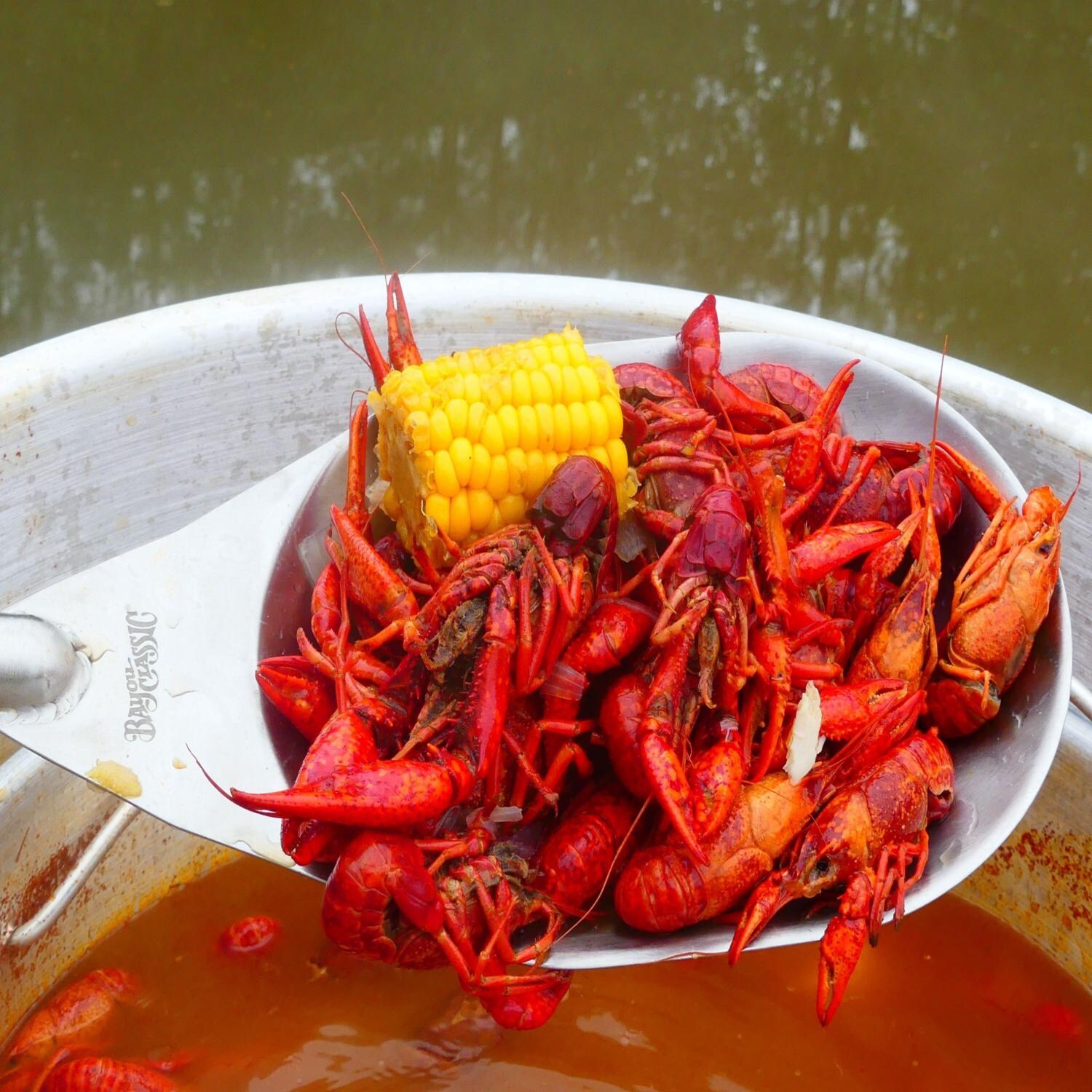 Bayou Classic 30-Inch Stainless Steel Bayou Spoon - 1079 - Crawfish in Spoon thumbnail