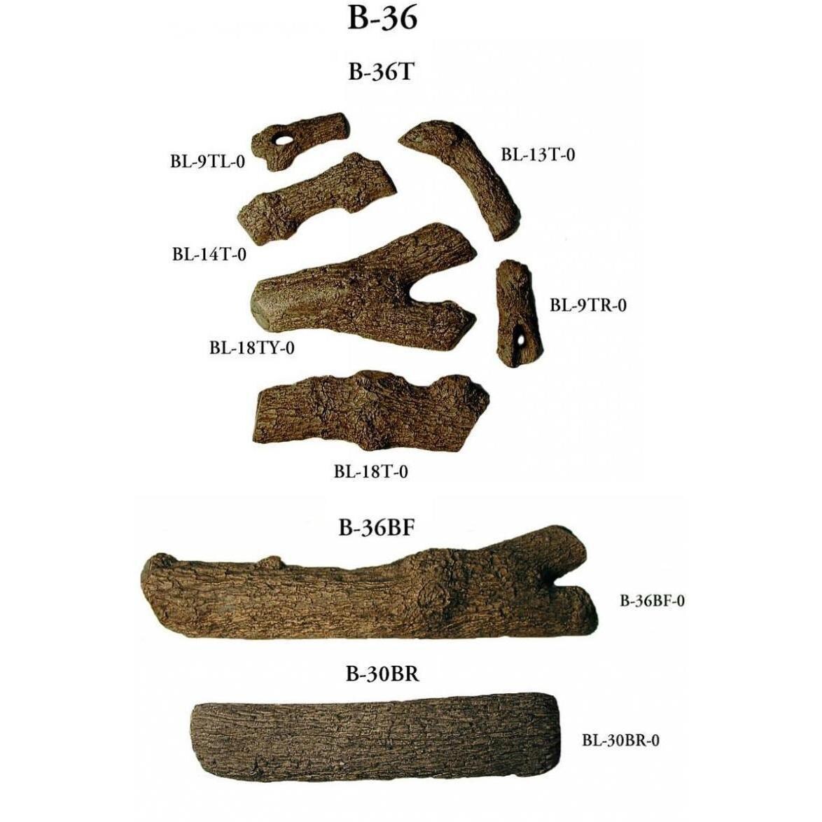 Royal Oak Designer See-Thru Branches thumbnail