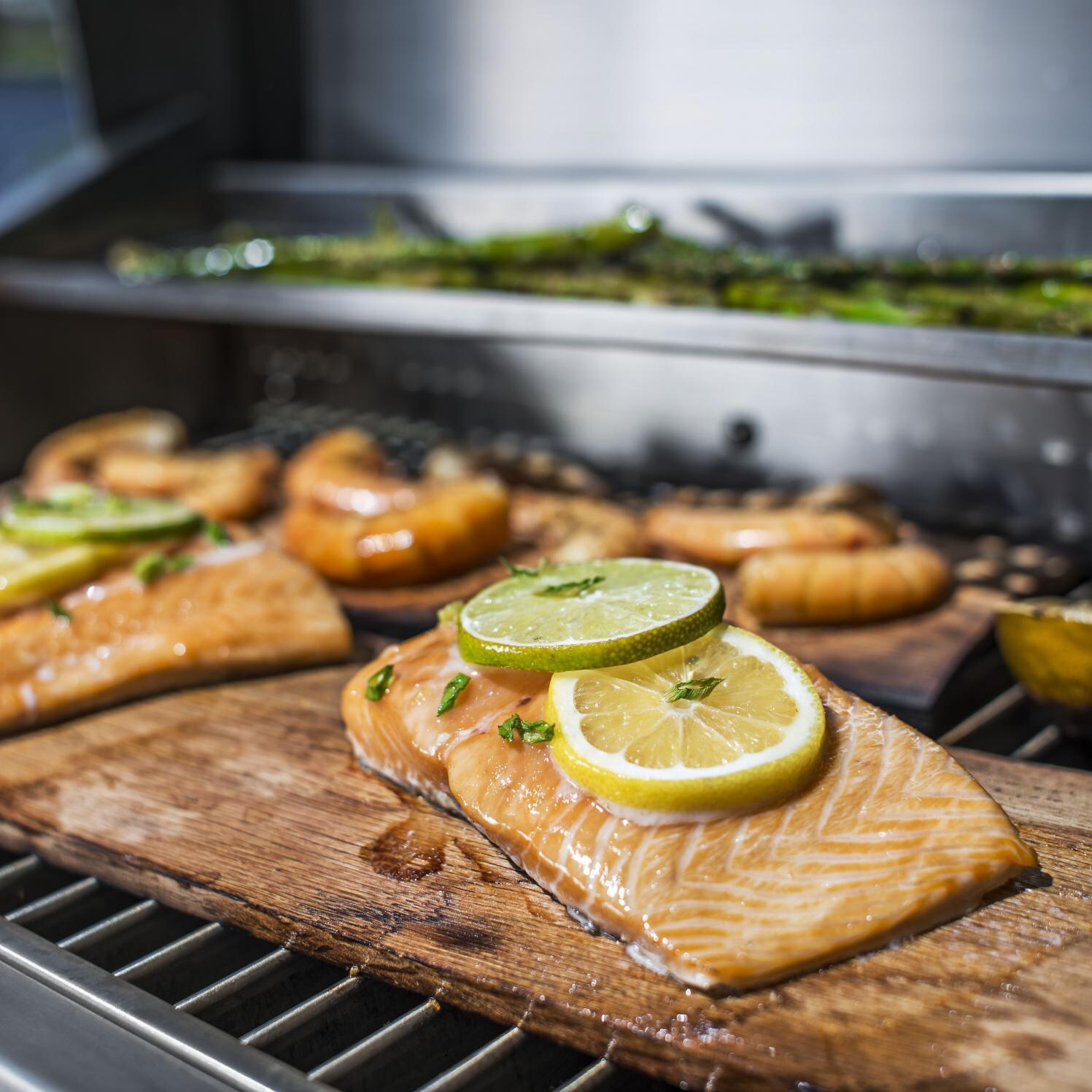 TEC Sterling Infrared Gas Grill - Grilling Fish thumbnail