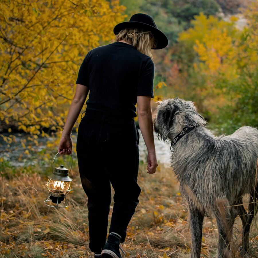 Barebones Living LIV-281 Railroad Lantern - Olive Drab - Flame On Carried in Nature thumbnail