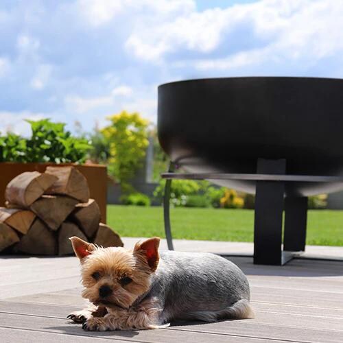 Cook King Viking XXL 111562 31 1/2 Inch Deep Bowl Wood Burning Fire Pit by Good Directions - Dog Relaxing By Fire Pit - Lifestyle thumbnail