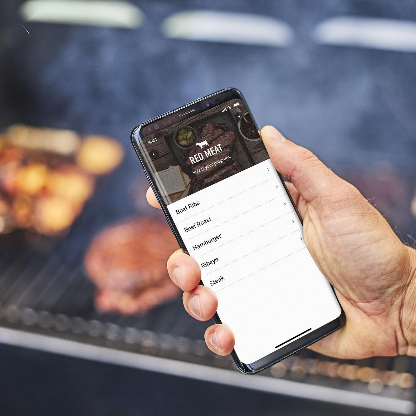 Weber 22510201 SmokeFire EX4 Gen 2 24-Inch Wi-Fi Enabled Wood Fired Pellet Grill - App - Detail thumbnail