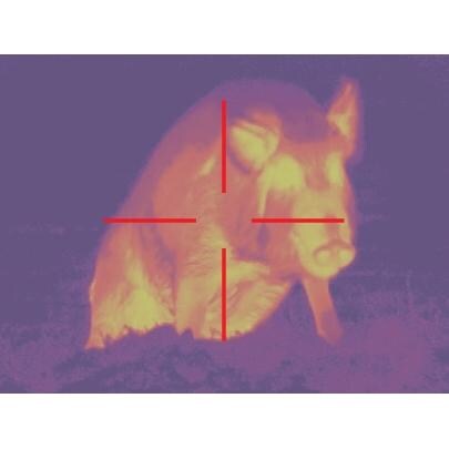 ATN THOR320 Color Digital Thermal Imaging Weapon Sight Color Mode - 2 thumbnail