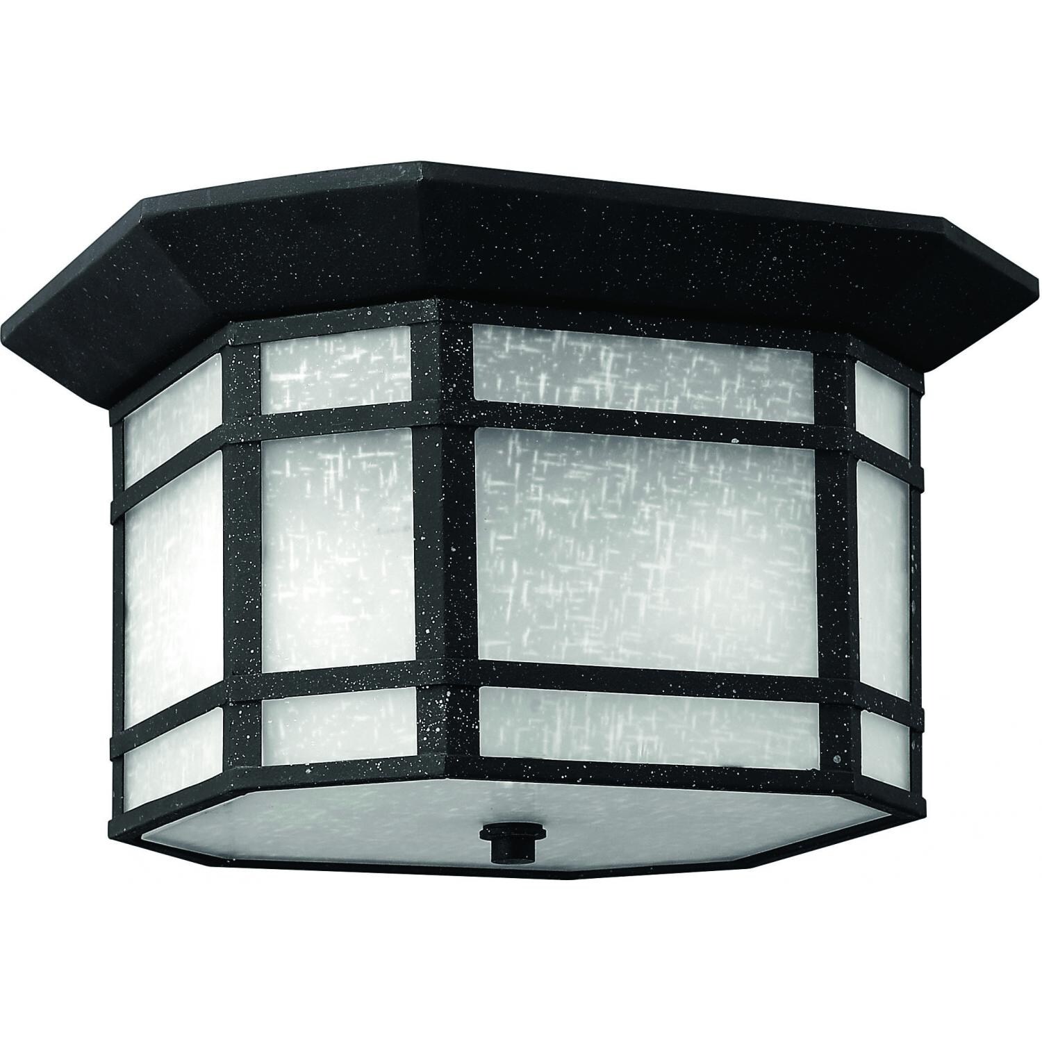 Hinkley Lighting Cherry Creek 1273VK 60W Two Light Outdoor Flush Mount Ceiling Fixture - Vintage Black thumbnail