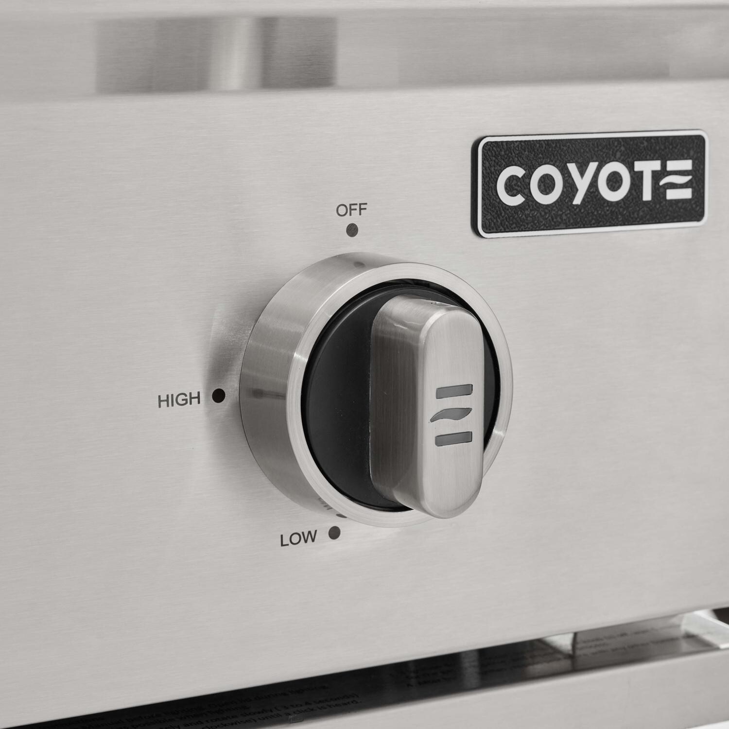 Los Silverton’s  MAG ペルー　キラー60’s ガレージ Coyote CL-Series 36