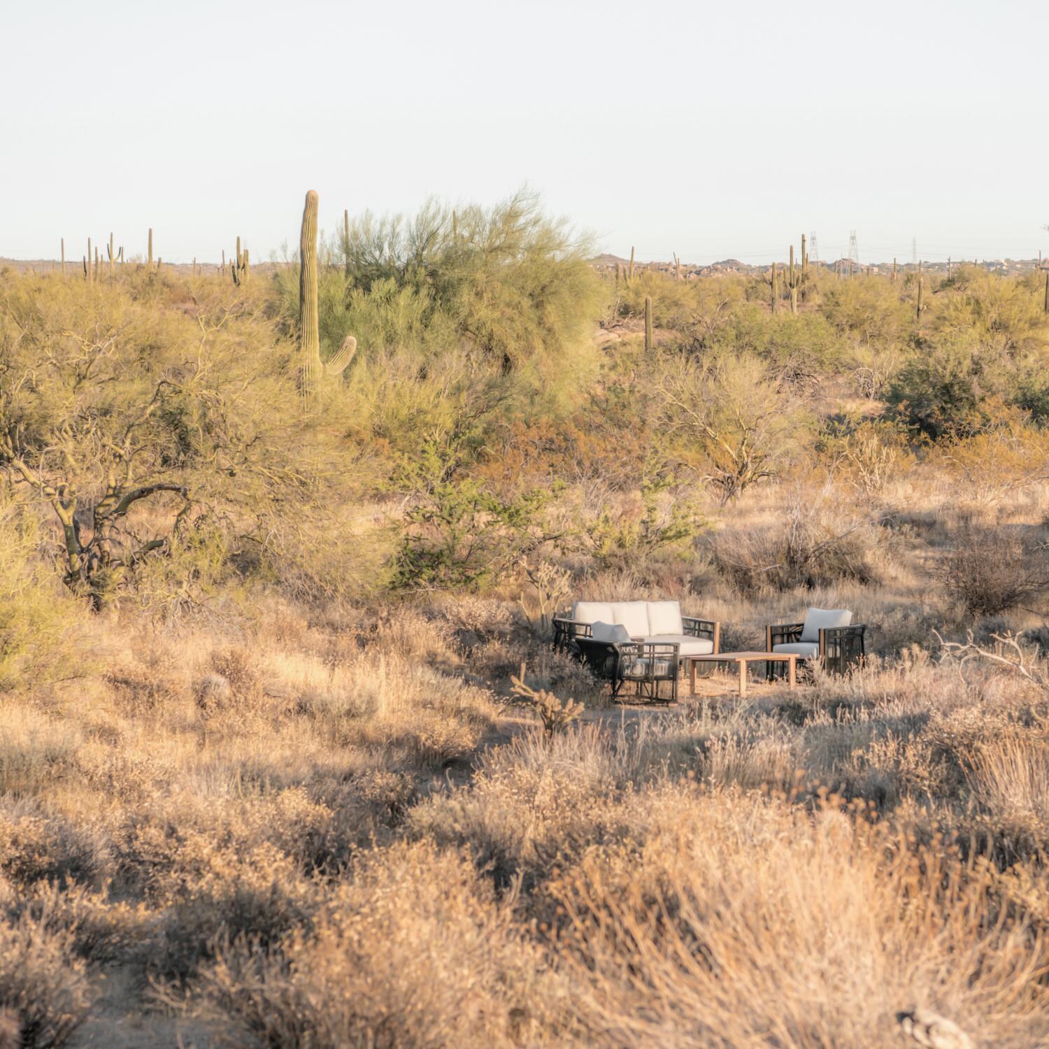 Teak + Table Breeze Olefin Rope & Teak Patio Club Chair in Charcoal/Sand - Desert Chat Set Panorama - Lifestyle thumbnail