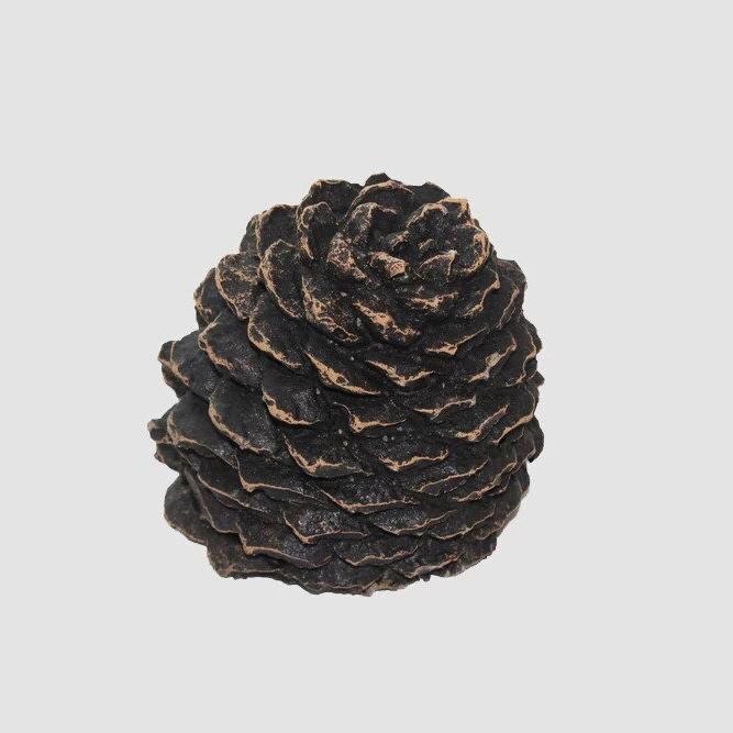 Hargrove 1205-BX Medium Decorative Pine Cone