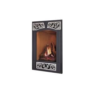Napoleon Brushed Stainless Steel Ornamental Fireplace Insets