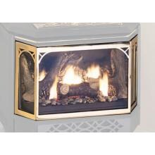 Napoleon GS3281G Pellet Stove Door - Gold Plated image