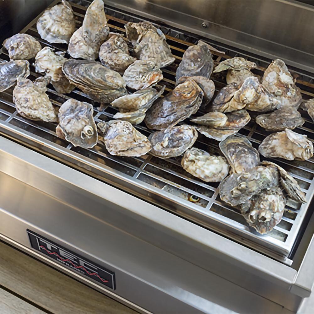 TEC Patio FR Series Infrared Smoker / Roaster - PFRSMKR thumbnail