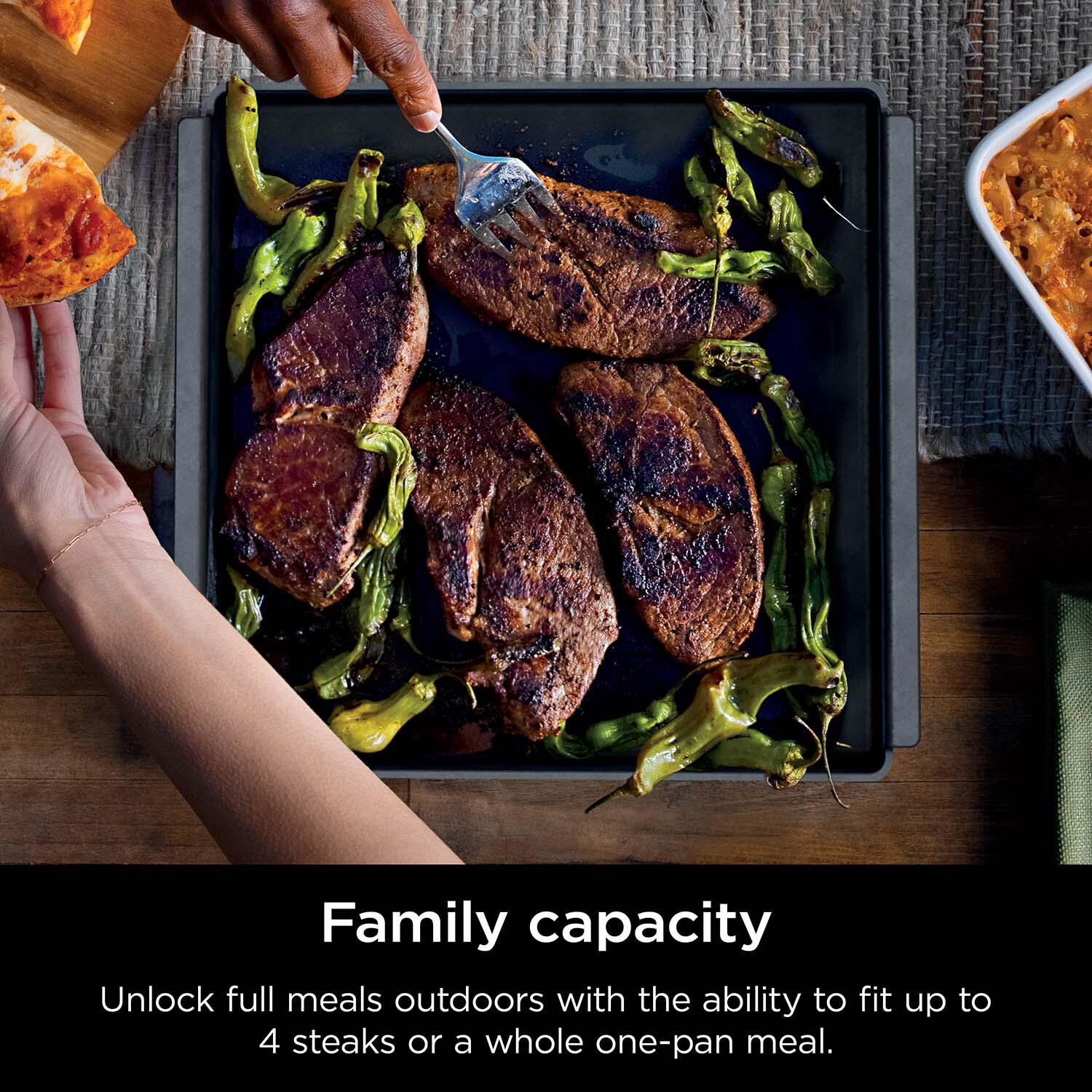 Ninja XSKOCTPN Woodfire Outdoor Cast Iron Pan - Family Capacity thumbnail