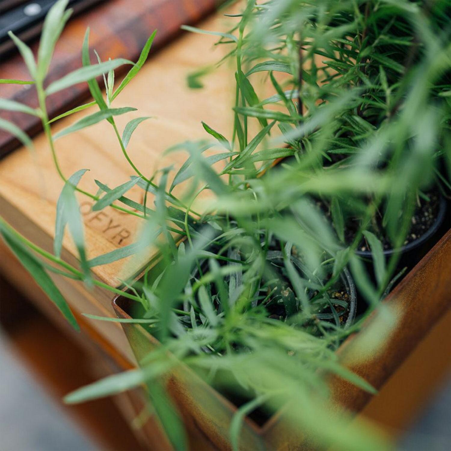 OFYR OI-100-PRO-TW Island Corten 100 PRO Teak Wood 70 Inch Wood-Fired Grill Center - Side Tool Tray - Plants Inserted - Detail thumbnail