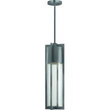 Hinkley Lighting Shelter One Light 22-Inch Dark Sky Outdoor Hanging Lantern - Hematite - 1322HE