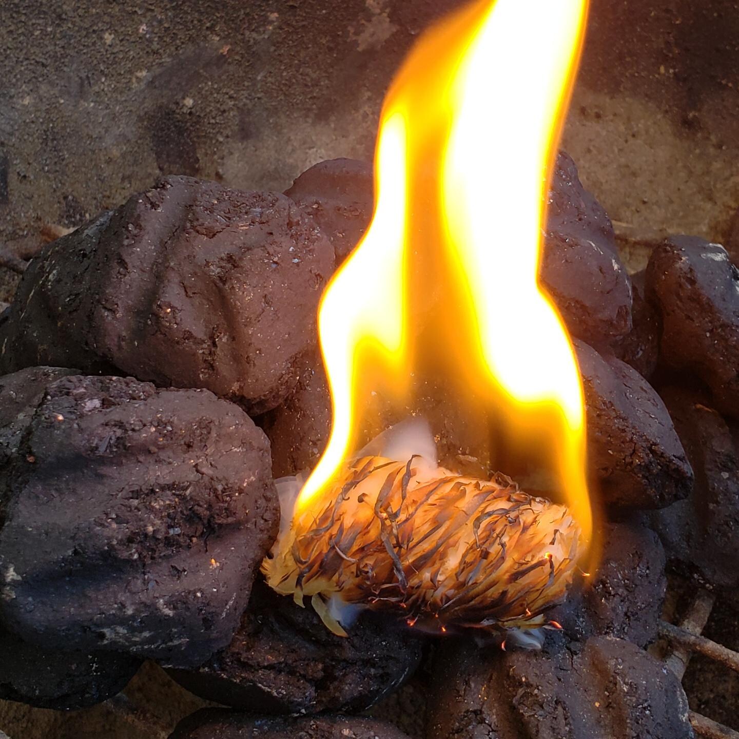 BBQ Dragon BBQD371 Dragon Egg Fire Starters - Close-Up thumbnail