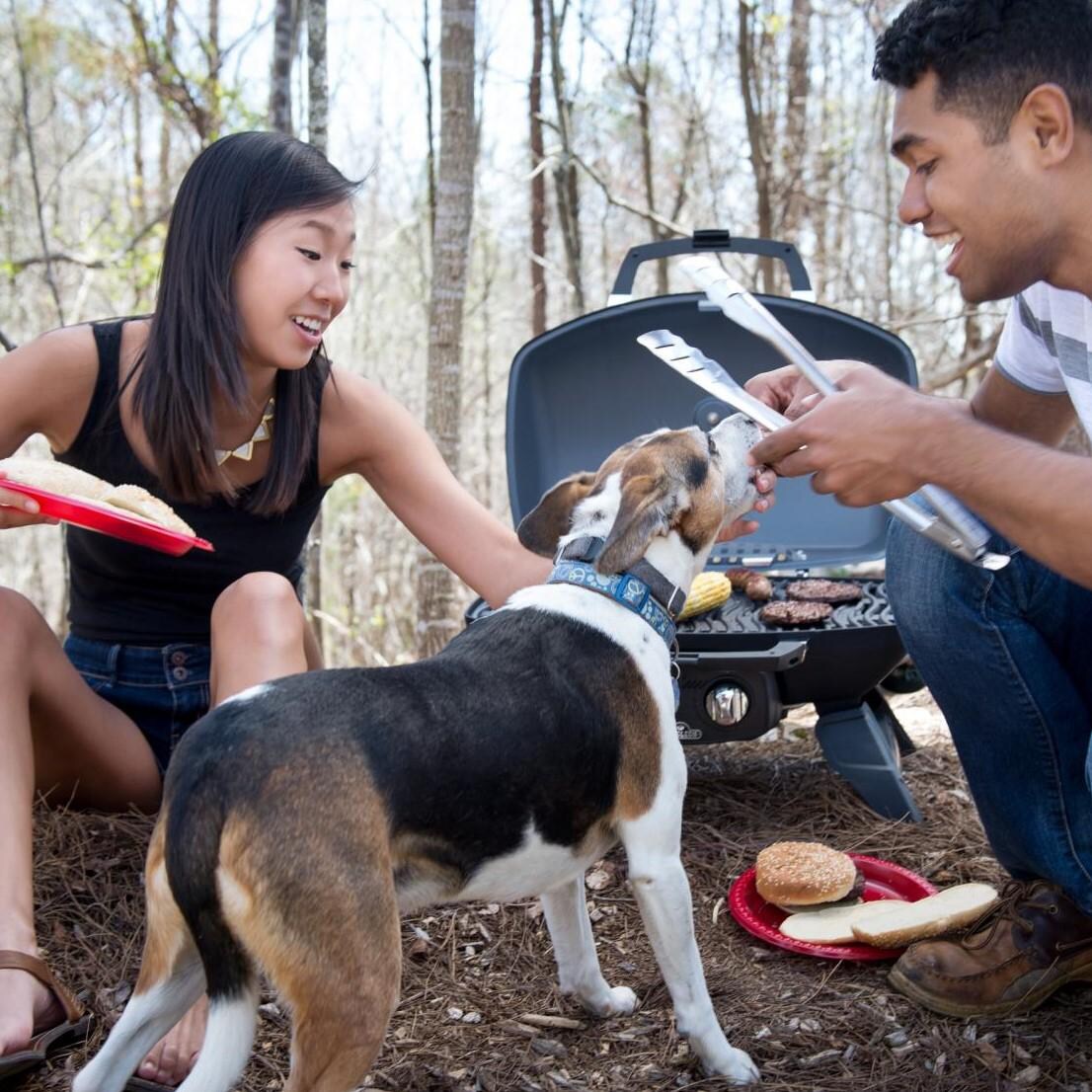 Napoleon TravelQ 285 Portable Propane Gas Grill With Griddle - Red - TQ285-RD-A - Lifestyle thumbnail