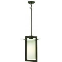 Hinkley Lighting Colfax One Light 19-Inch Outdoor Hanging Lantern - Bronze - 2922BZ image