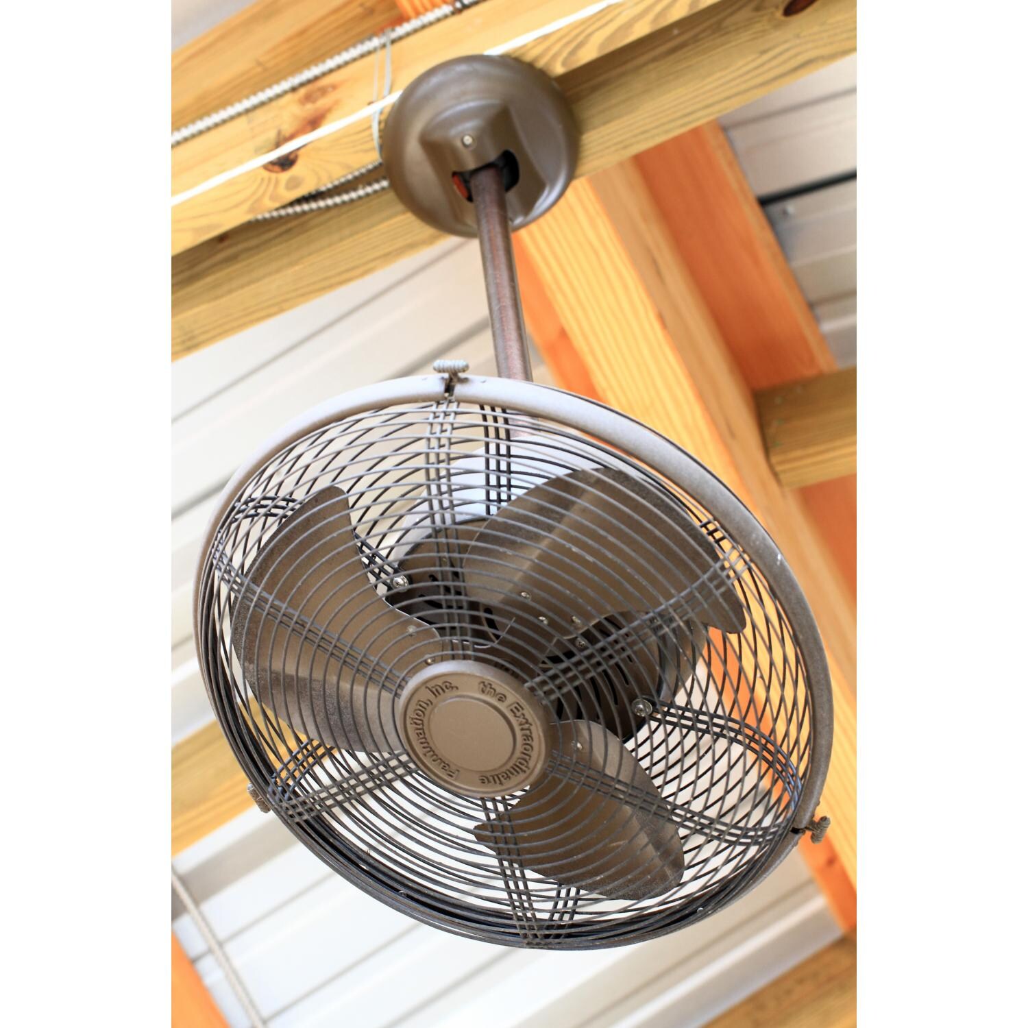 Fanimation Extraordinaire Fan - Lifestyle View thumbnail