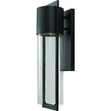 Hinkley Lighting Shelter One Light 21-Inch LED Dark Sky Outdoor Wall Light - Black - 1324BK-LED