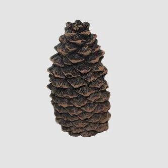 Hargrove 1202-BX Small Decorative Pine Cone thumbnail