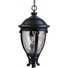 Maxim Camden VX Three Light 26-Inch Outdoor Hanging Lantern - Black - 41429WGBK image