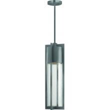 Hinkley Lighting Shelter One Light 22-Inch LED Dark Sky Outdoor Hanging Lantern - Hematite - 1322HE-LED