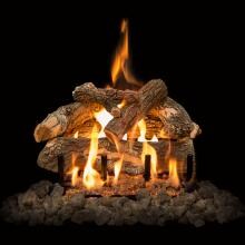 Grand Canyon 18-Inch Arizona Weathered Oak Vented Outdoor Log Set W/ Natural Gas 2BRN SS Burner - Match Light image