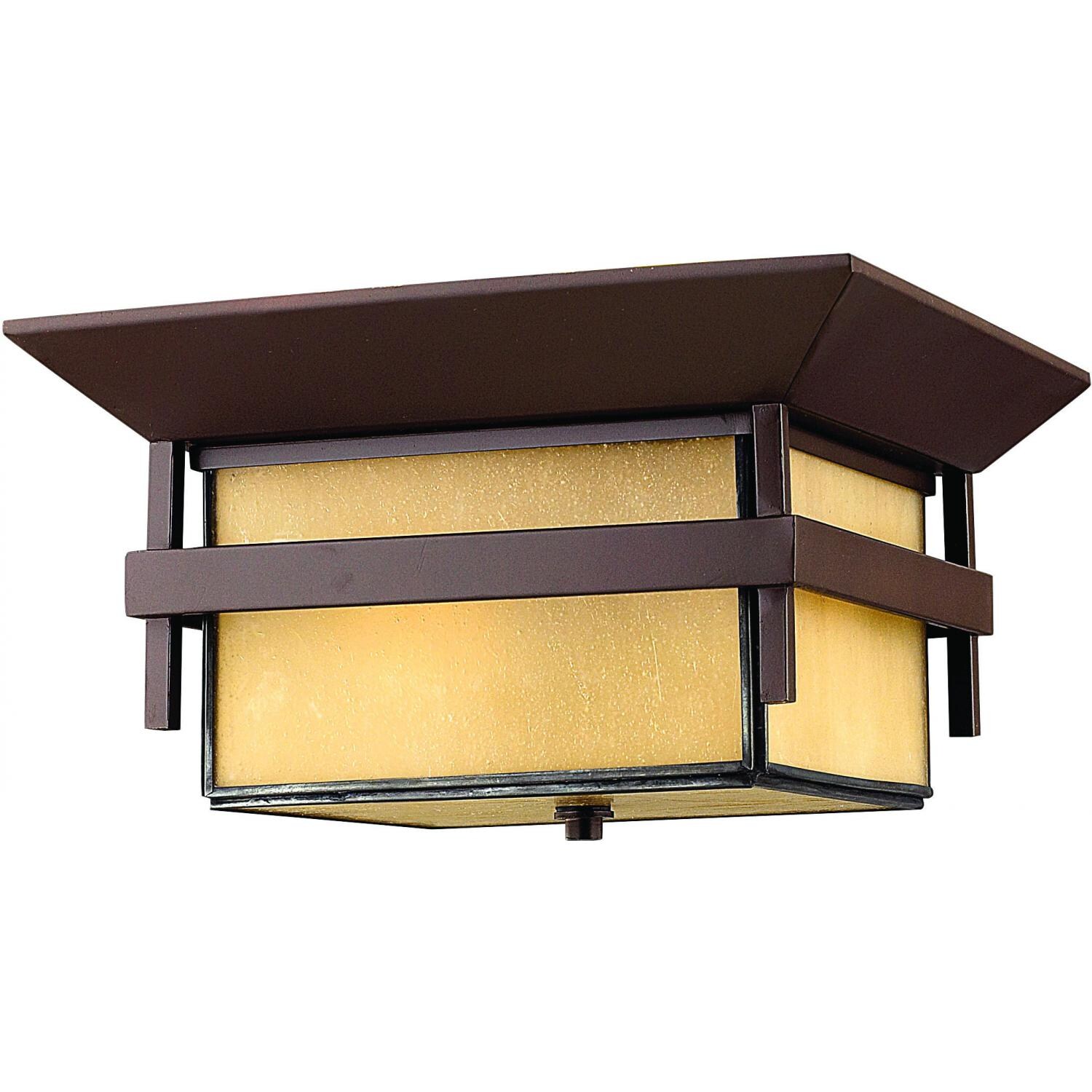 Hinkley Lighting Harbor Two Light 12-Inch Outdoor Ceiling Light - Anchor Bronze - 2573AR