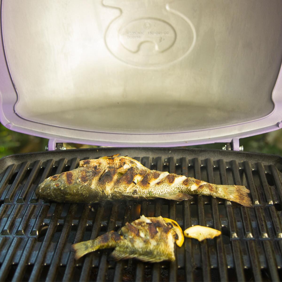 Weber Q Portable Grill - Grilling Fish