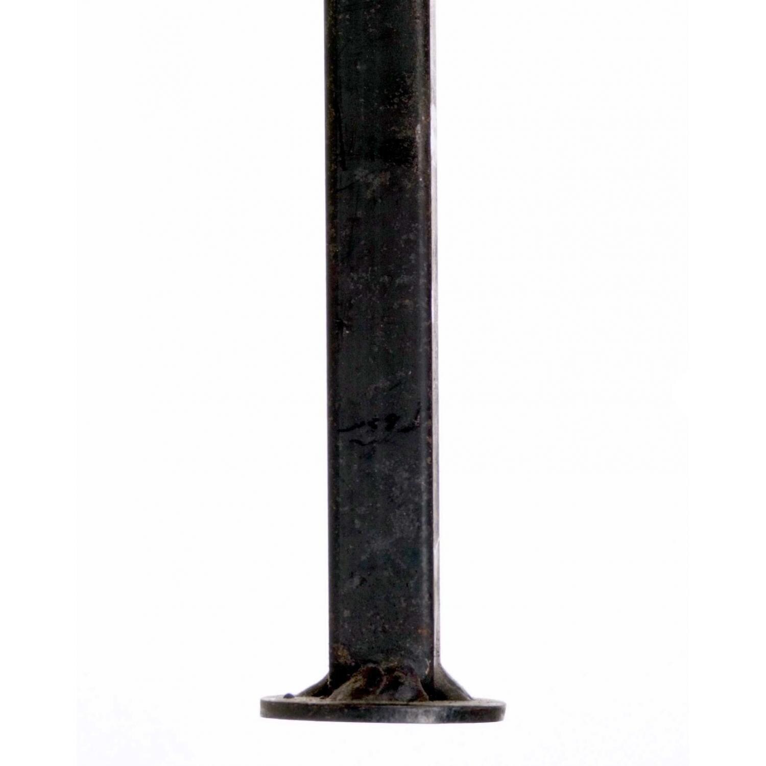 Leg