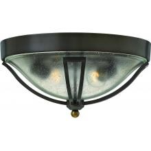 Hinkley Lighting Bolla Two Light 17-Inch Outdoor Ceiling Light W/ Clear Glass - Olde Bronze - 2643OB