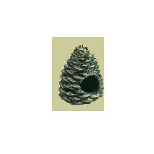 Hargrove Replacement Crackling Pine Cone