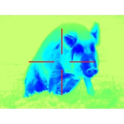 ATN THOR320 Color Digital Thermal Imaging Weapon Sight Color Mode - 3 thumbnail