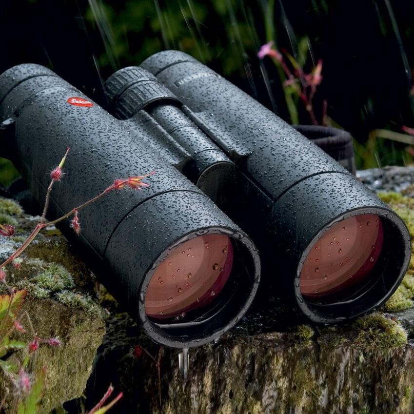 Leica Ultravid HD 10x50 Armored Binoculars: Weatherproofed For the Hunt thumbnail