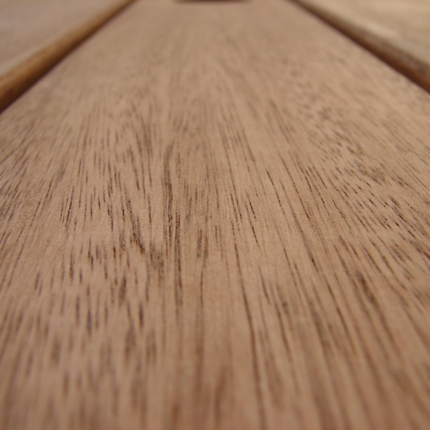 Amazonia Eucalyptus Close Up thumbnail