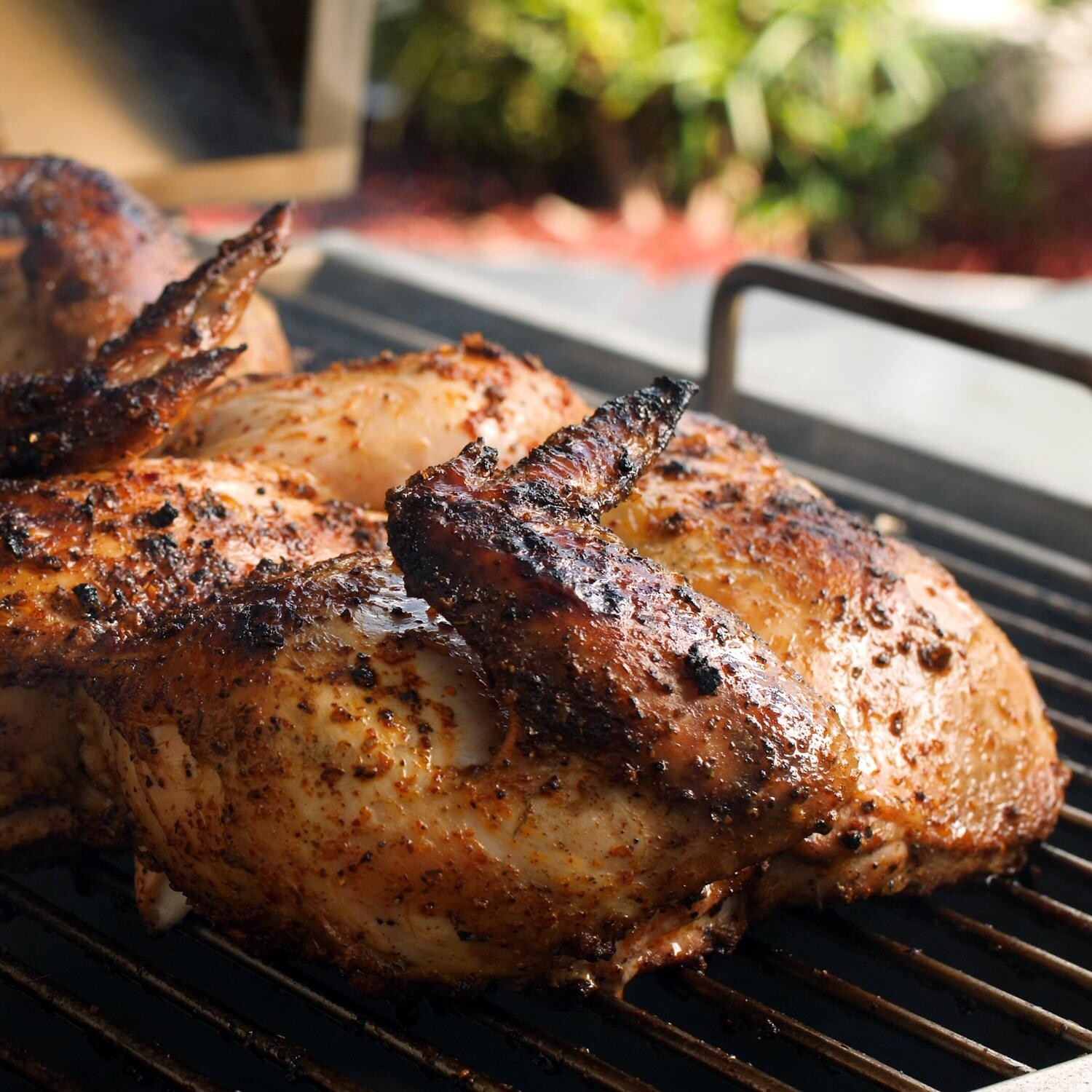 Cajun Grill Preaux PGI-900 36-Inch Built-In Stainless Steel Charcoal Grill - Grilling Chicken thumbnail