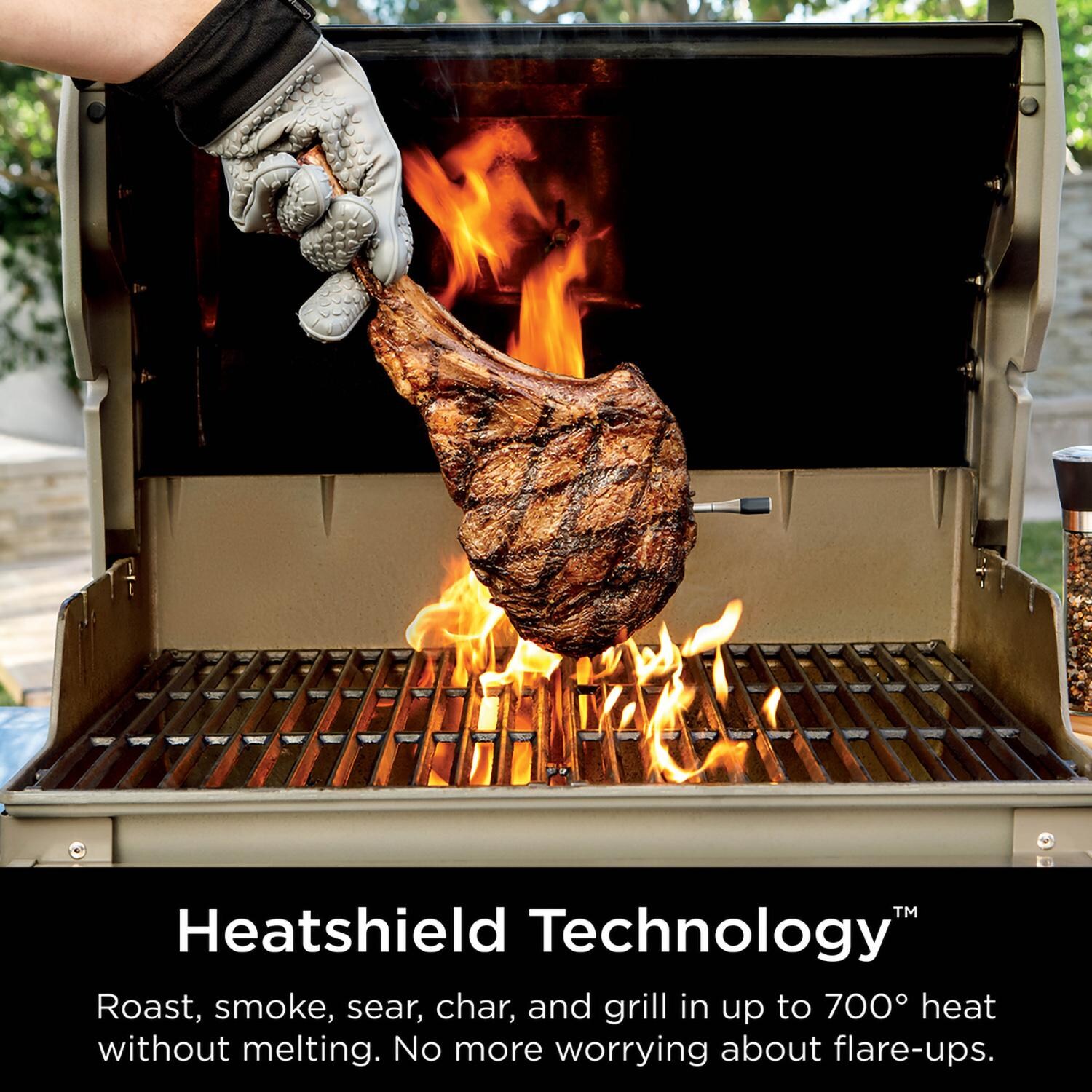 Ninja WP100 ProChef Wireless Thermometer - In Steak - Detail thumbnail