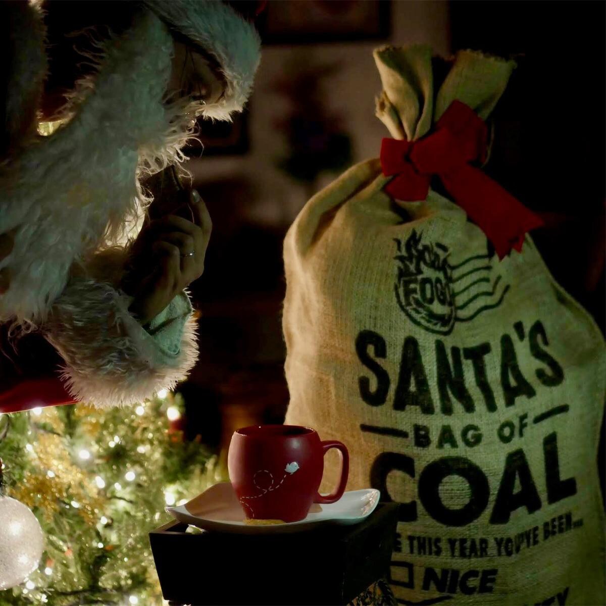 FOGO Santa Bag w/ Premium Natural Hardwood Lump Charcoal - Lifestyle View thumbnail