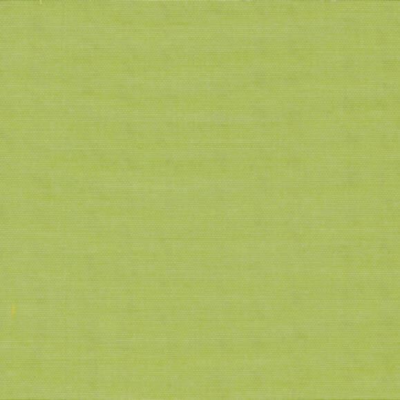 Telescope Casual Lime Sling Swatch thumbnail