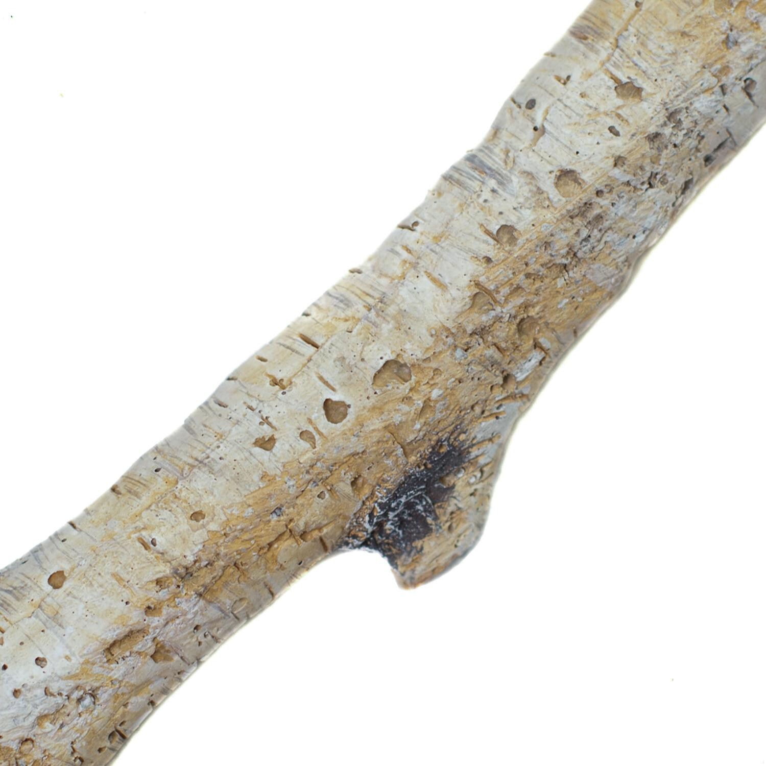 Enhance A Fire Garden Birch Burncrete Twigs