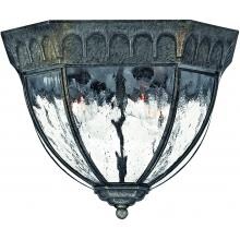 Hinkley Lighting Regal Four Light 12-Inch Outdoor Ceiling Light - Black Granite - 1713BG