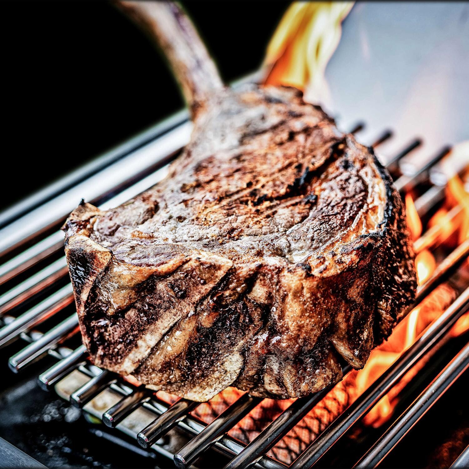 Broil King 687244 Regal Q 490 Pro IR Propane Grill - Steak - Detail thumbnail